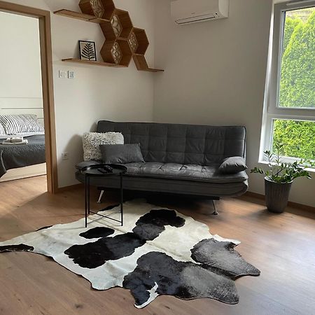 Hexagon Apartman Segedín Exteriér fotografie